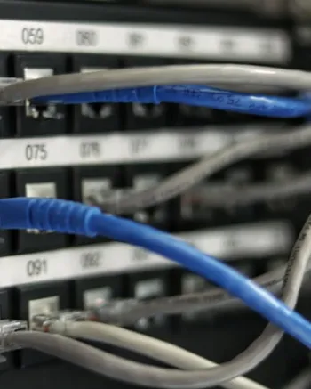 Maintenance & Hosting